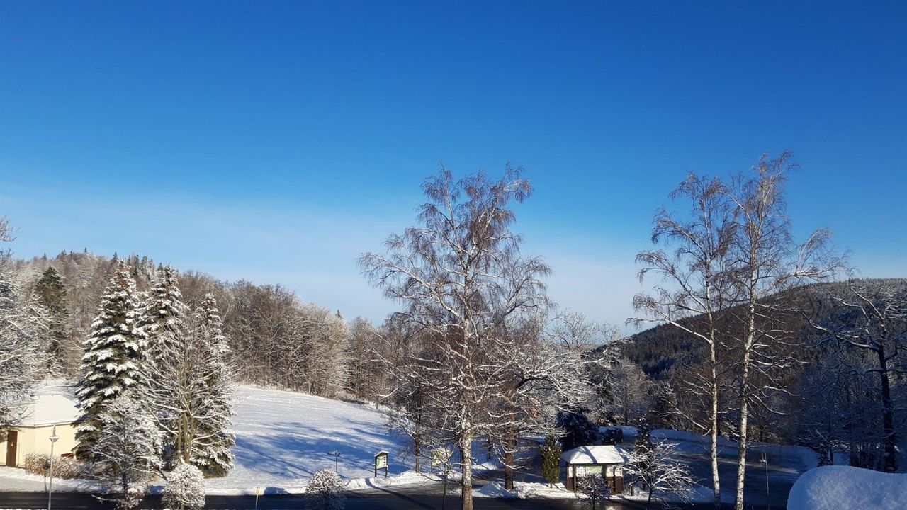 20210111_102845_resized 20210111_102845_resized